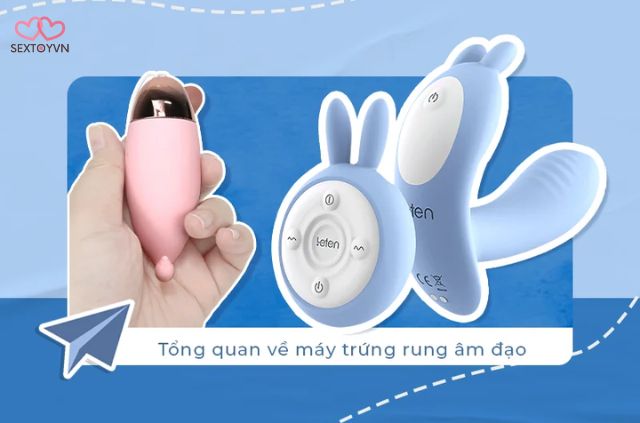 Máy Trứng Rung Là Gì? Khám Phá Thế Giới Đồ Chơi Tình Dục Độc Đáo