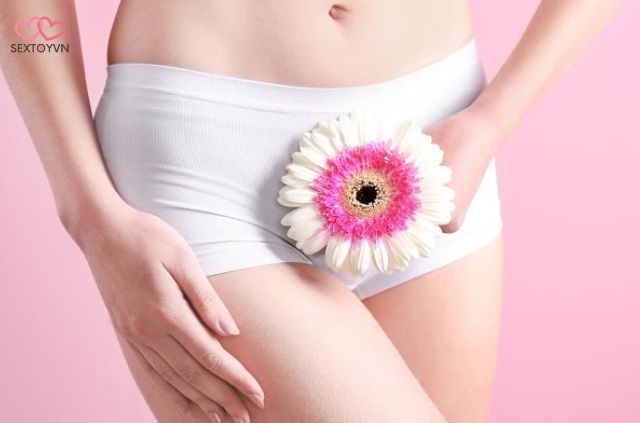 Bạn đã bao giờ nghĩ đến việc nâng tầm trải nghiệm thủ dâm của mình lên một tầm cao mới?